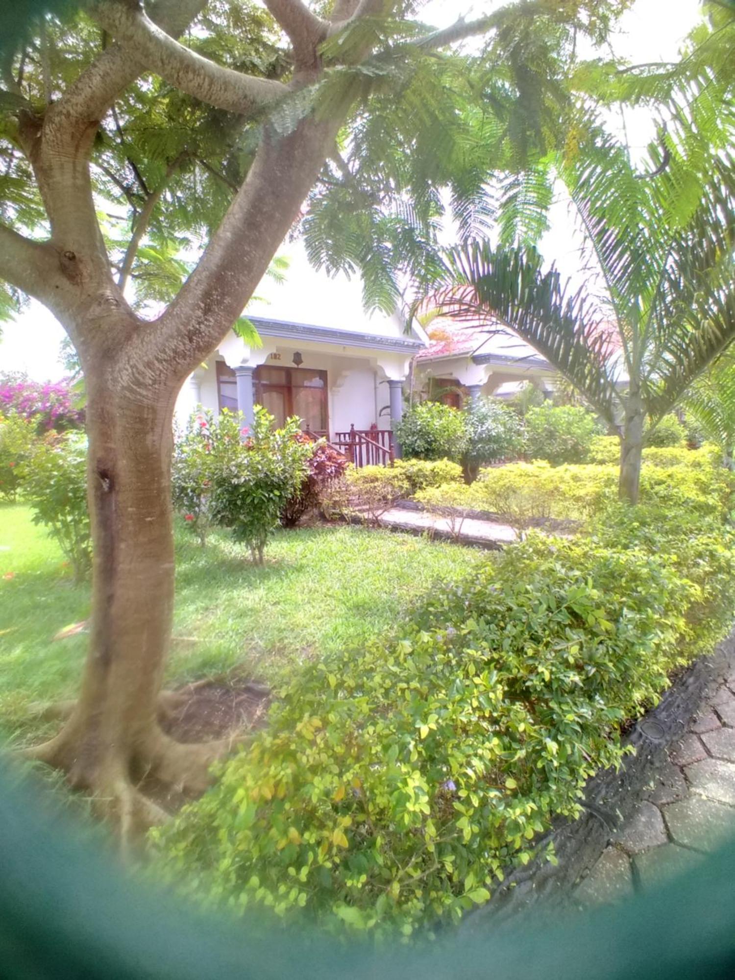Hotel In Ras Nungwi Exterior photo